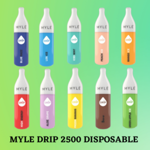 FTG BAR 5000 Puffs disposable vape