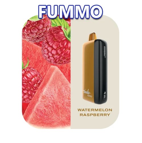 FUMMO INDIC 12000 PUFFS